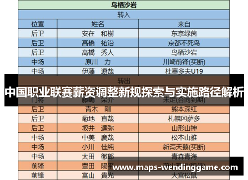 中国职业联赛薪资调整新规探索与实施路径解析