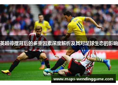 英超停摆背后的多重因素深度解析及其对足球生态的影响