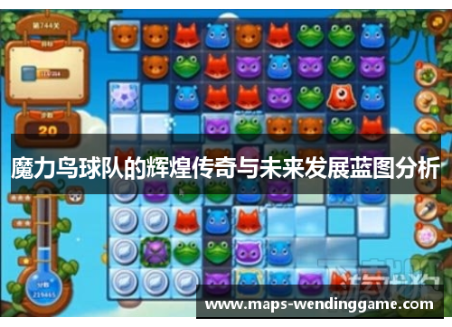 魔力鸟球队的辉煌传奇与未来发展蓝图分析
